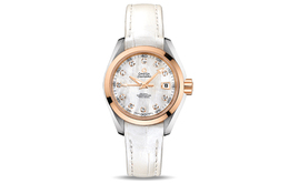 Omega Часы Seamaster Aqua Terra 231.23.30.20.55.001