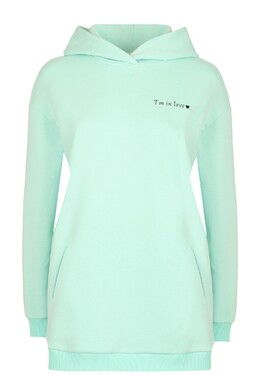 ELYTS: Зелёная толстовка 