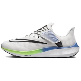 Кроссовки для бега Pegasus FlyEase для мужчин с низким верхом Nike dj7381-006 | white