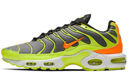 Мужские кроссовки для бега Nike Air Max Plus ci5924-061
