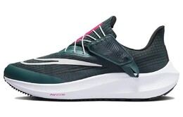 Кроссовки Nike Pegasus FlyEase для женщин, Green dj7383-301 | green
