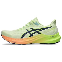 Кроссовки мужские GT-2000 12 с низким верхом, зеленые/синие Asics 1011b691-302 | green/blue