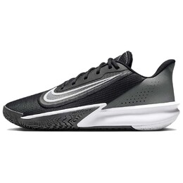Баскетбольные кроссовки Precision 7 Basketball Shoes Men Low-Top Black Gray Nike fn4322-005 | black gray
