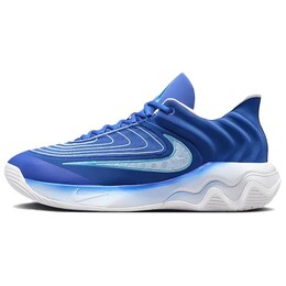 Баскетбольные кроссовки Giannis Immortality Basketball Shoes Men Low-Top Blue Nike fq3681-400 | blue