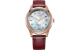 Citizen Часы Women's Ecology Drive Collection Watch fc8009-18y品牌直供