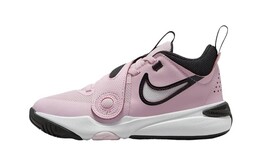 Nike Team Hustle D 11 Kids Баскетбольные кроссовки для детей dv8994-600