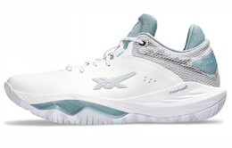 Мужские баскетбольные кроссовки Asics Nova Surge 2, White 1061a043-101 | white