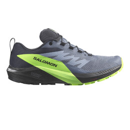 Кроссовки для бега Salomon Sense Ride 5 GORE-TEX Trail, серый sal6108 | grey