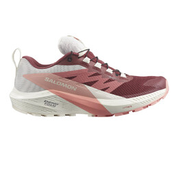 Кроссовки для бега Salomon Sense Ride 5 GORE-TEX Trail, розовый sal6109 | pink