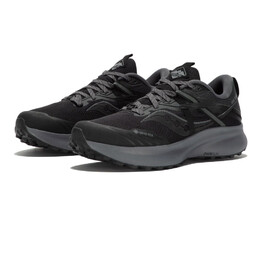 Кроссовки для бега Saucony Ride 15 TR GORE-TEX Trail, черный sau4661 | black
