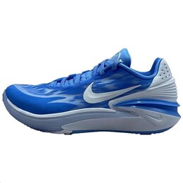 Баскетбольные кроссовки унисекс Nike Air Zoom GT Cut 2, Blue dx6650-402 | blue