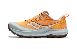 Кроссовки Saucony Women's Peregrine 14 'Flax Clove', синий s10916-121 | ashen slate/diffused blue/football gray/metallic gold