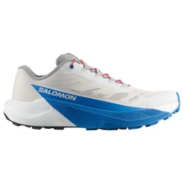 Pulsar - кроссовки для бега по пересеченной местности Salomon, мультиколор 023-2529 | lunar rock / white / french blue