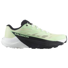 Женские кроссовки Pulsar для трейлраннинга Salomon, мультиколор 123-2188 | patina green / white / black