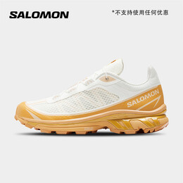 Кроссовки спортивные Salomon XT-6 для бега, хаки 768525987873 | 复古卡其色471513