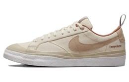 Кроссовки Nike Sb Blazer Low Doyenne Skateboards Women's dz3406-100