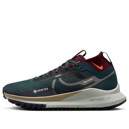 Кроссовки pegasus trail 4 gore tex Nike, зеленый dj7929-302 | green