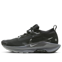 Кроссовки pegasus trail 5 gore tex Nike, черный fq0912-001 | black/wolf grey