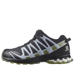 Кроссовки (WMNS)Salomon XA Pro 3D V8 GTX 'Black Green' 416295 416295 / l41629500