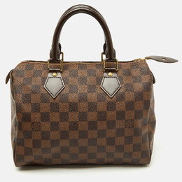 Louis Vuitton Damier Ebene Canvas Speedy 25 Bag 1181142