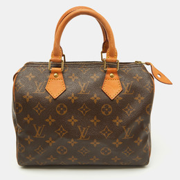 Louis Vuitton: Коричневая сумка  Speedy 25