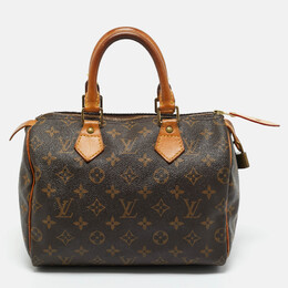 Louis Vuitton: Коричневая сумка  Speedy 25