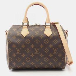 Louis Vuitton: Коричневая сумка  Speedy