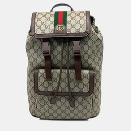 Gucci: Бежевый рюкзак  Ophidia