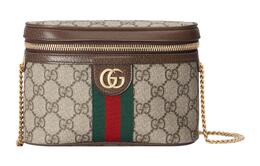 Ophidia Supreme Canvas Одноплечевая поясная сумка через плечо женская Ebony Gucci 699765-96iwg-8745