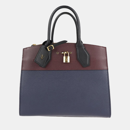 Louis Vuitton Multicolor Leather City Steamer MM Satchel 801159