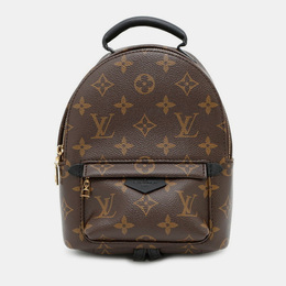 Louis Vuitton Monogram Palm Springs Backpack Mini 1228899