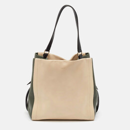 DKNY Beige/Fatigue Green Leather Hobo 1052238