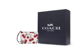 Coach Кожаный клатч с угловой молнией мини женский мел cz451-svcah