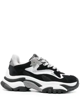 Ash Addict low-top sneakers 20861841