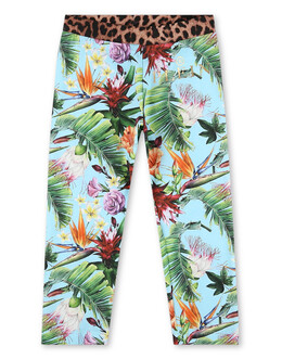 Philipp Plein: Легинсы 