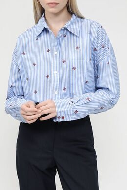 Tommy Hilfiger: Хлопковая рубашка 