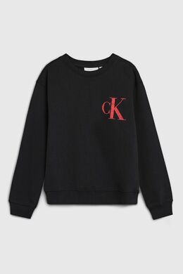 Calvin Klein Jeans: Хлопковый свитшот 
