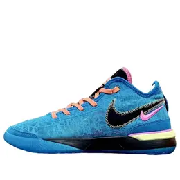 Кроссовки Nike LeBron NXXT Gen Zoom I Promise, мультиколор dr8784-900 | multi-color/multi-color