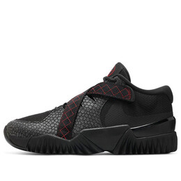 Кроссовки Zoom Court Dragon Nike, черный dv8166-001 | black/red