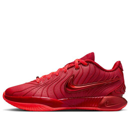 Кроссовки леброн 21 Nike, красный hf5951-600 | bright crimson/gym red