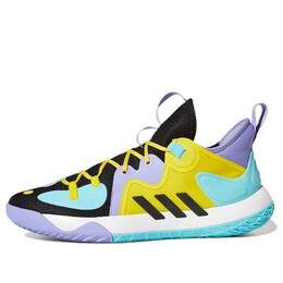 Кроссовки harden stepback 2.0 Adidas, черный h68054 | black/purple/yellow