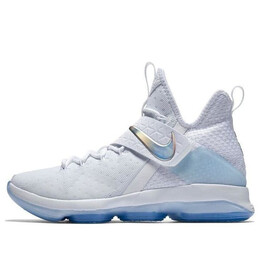 Кроссовки леброн 14 Nike, белый 860631-900 | white/golden silver/blue