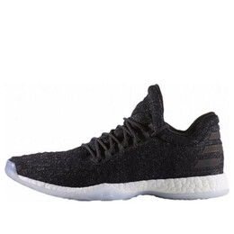 Кроссовки harden vol. 1 ls primeknit Adidas, черный cg5107 | black