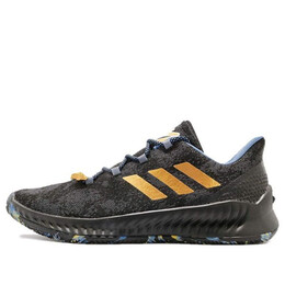 Кроссовки твердеют б у Adidas, черный f36813 | core black/gold metallic/trace royal
