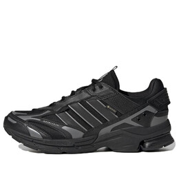 Кроссовки spiritain 2000 gore tex Adidas, черный hp6716 | black/gray