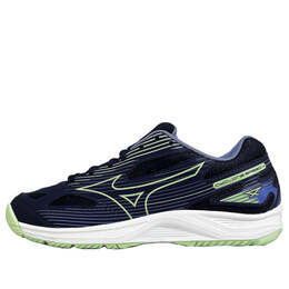 Кроссовки cyclone speed 4 'purple green' Mizuno, фиолетовый v1ga238011 | dark purple/green