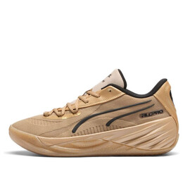 Кроссовки x dennis schrder all-pro nitro 'gold black' Puma, золотой 310431-01 | gold/black