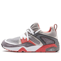 Кроссовки staple x blaze of glory og 'pigeon' Puma, серый 361616-01 | gray/