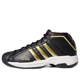 Кроссовки pro model 2g 'forbidden city' Adidas, мультиколор fw3138 | cblack/goldmt/crywht