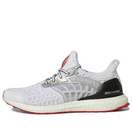 Кроссовки ultraboost climacool 2 dna Adidas, белый gy5373 | white